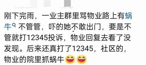 吃瓜群的链接,网络热议背后的真相与趣味